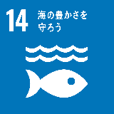 SDGsアイコン14「海の豊かさを守ろう」